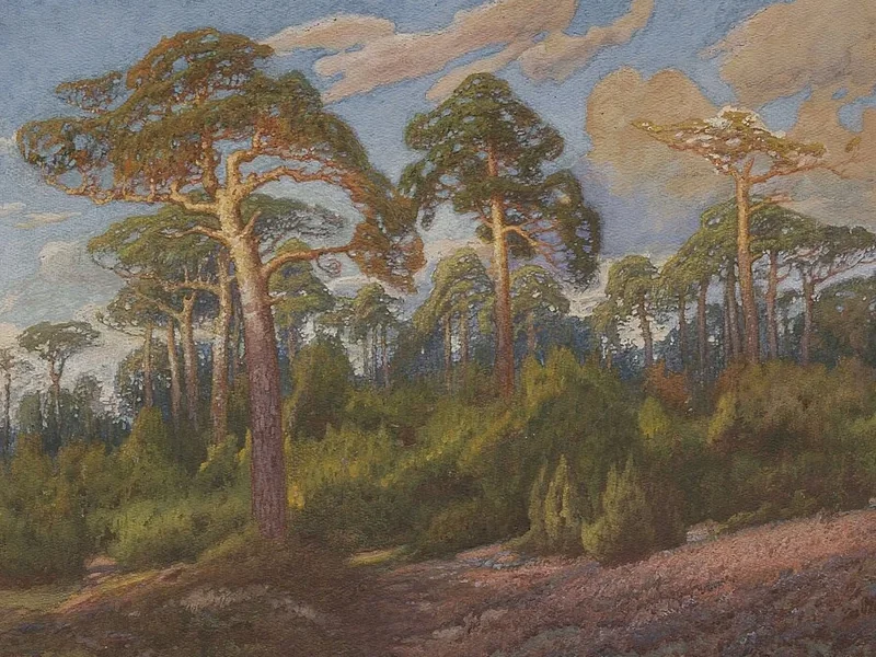 1844-Ludomir Ludwik Dominik Benedyktowicz - Paesaggio forestale